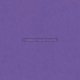 Feuille colorline 50 x 65 cm 150 g violet canson