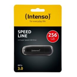Cle usb 256 go intenso