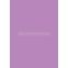 #1 - Feuille canson color line 50 x 65 cm lilas 150 g